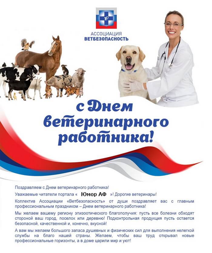 «28 апреля - международный день ветеринарного врача»: профессия или призвание