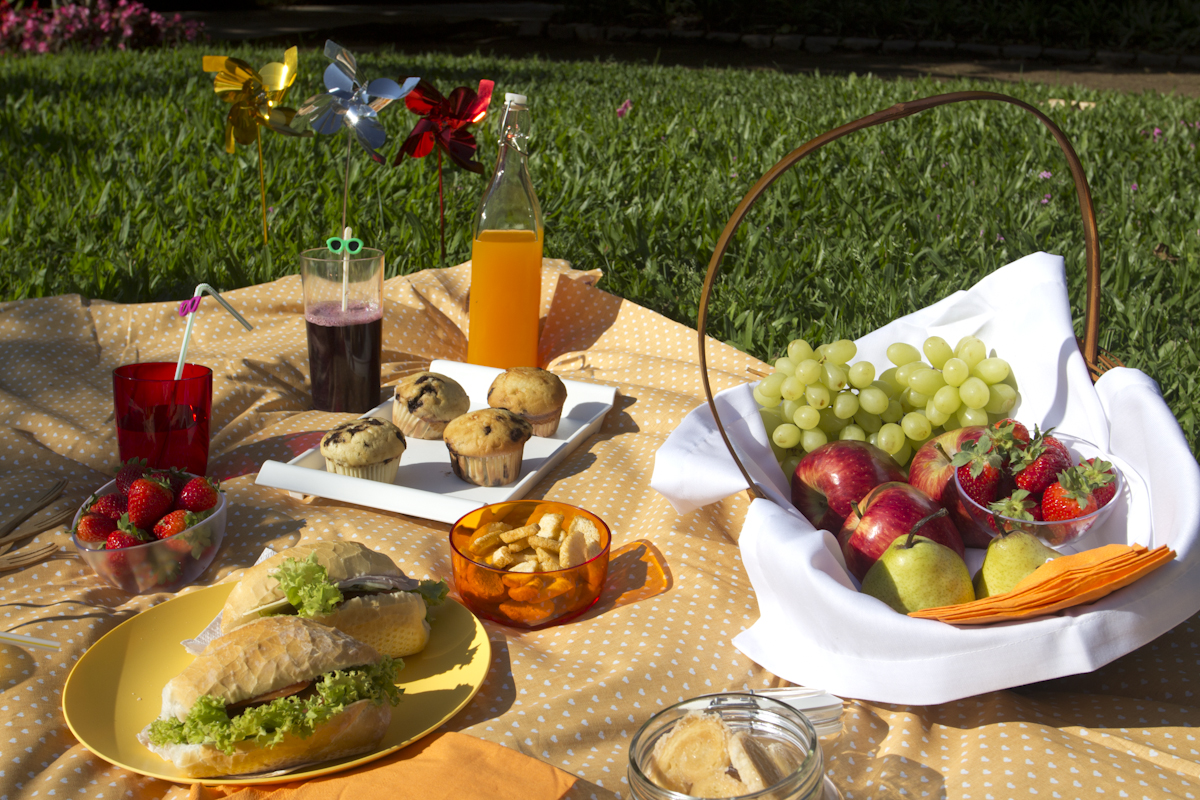 Закуска для пикника на природе. 18 рецептов простых и вкусных закусок для отдыха