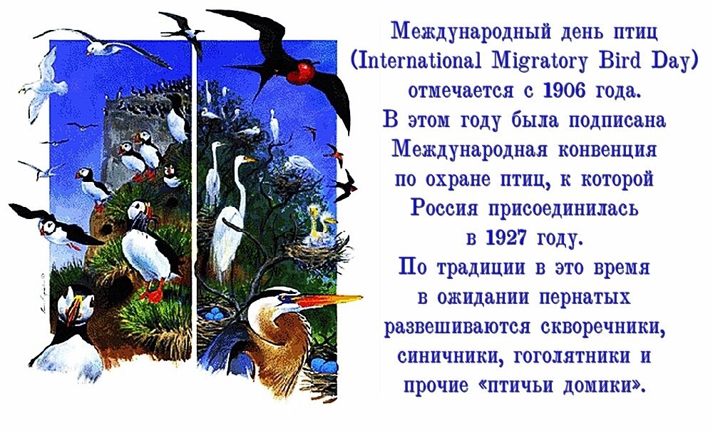 День птиц, который ежегодно в россии отмечают 1 апреля, принято проводить разные мероприятия