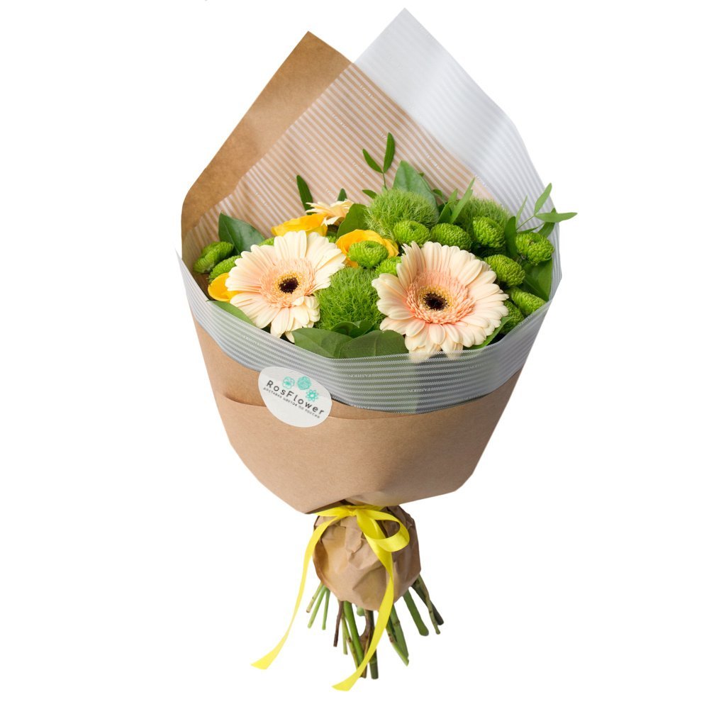 Комнатный цветок в подарок: как красиво упаковать растение? советы от татьяны кудряшовой