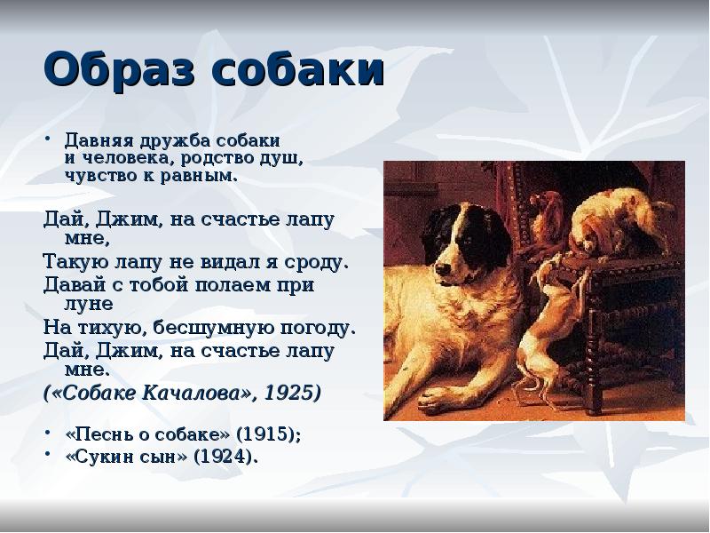 Есенин - собаке качалова (дай, джим, на счастье лапу мне): стих, текст стихотворения на рустих
