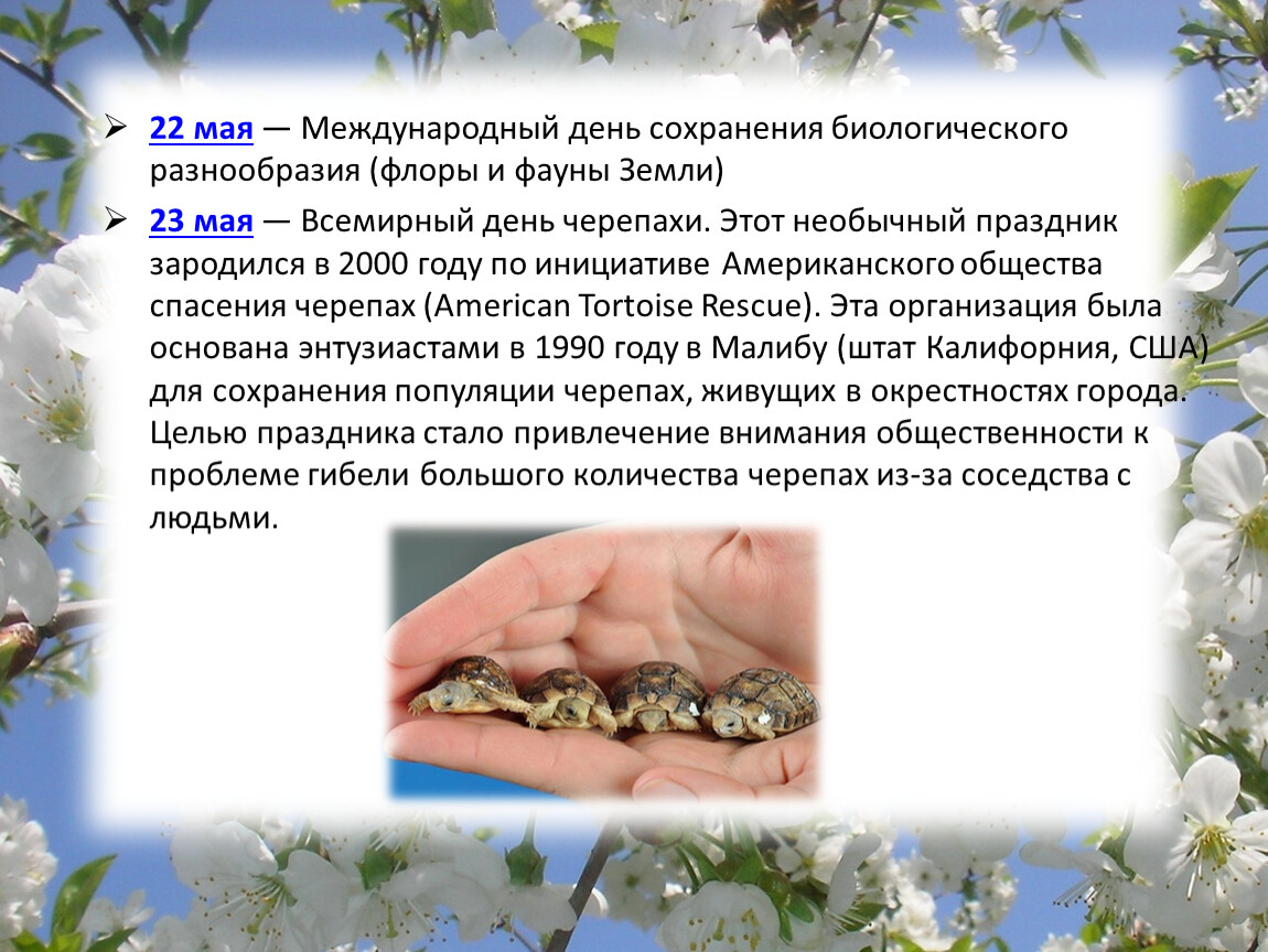 Международный день биологического разнообразия | fiestino.ru