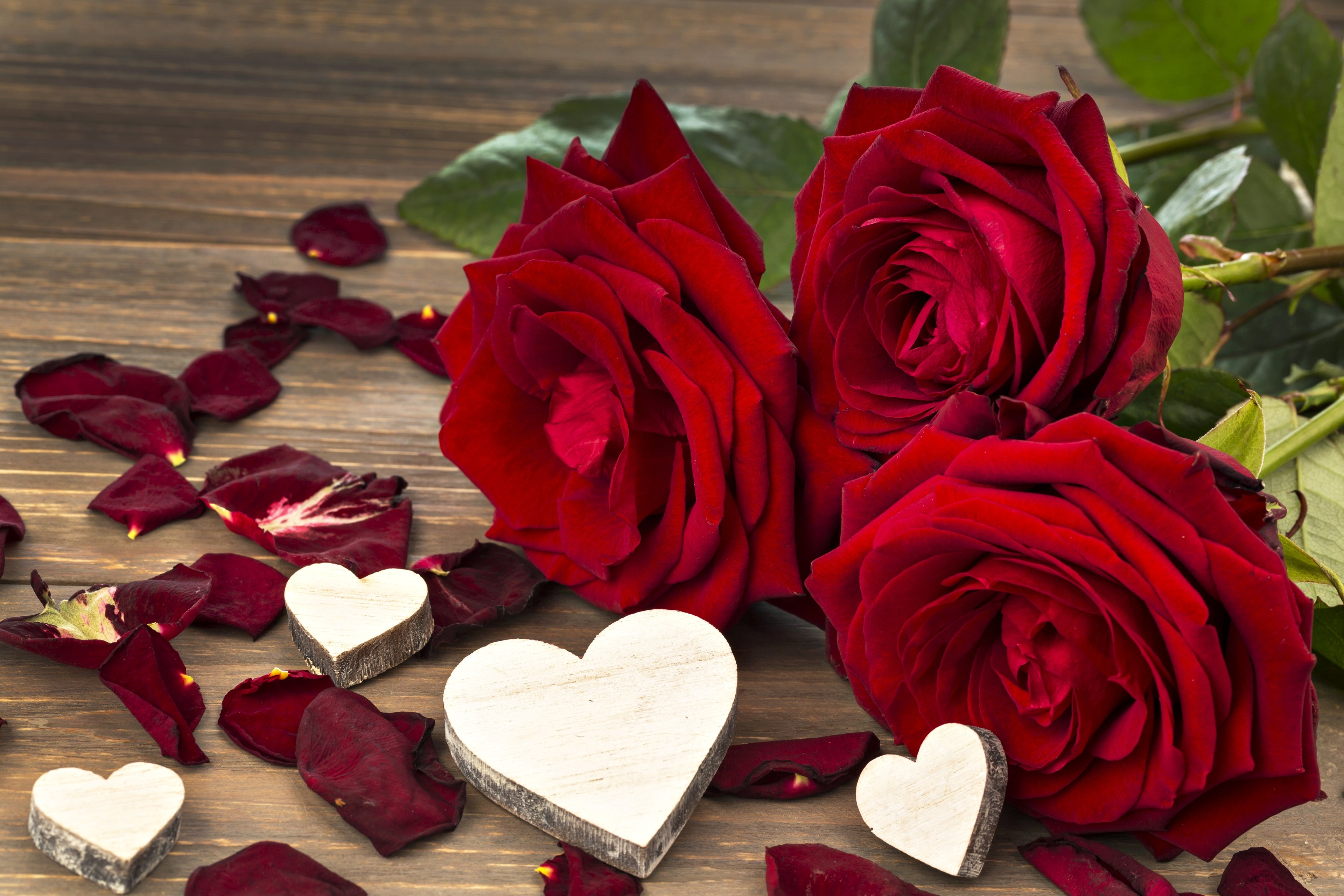 Кто сказал, что красные розы символизируют страсть?
