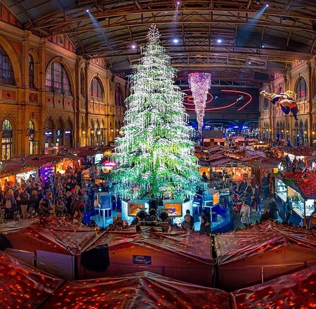 Какая была самая высокая новогодняя елка в мире, европе и где она стояла? самая высокая новогодняя и рождественская елка рекорд гиннеса: высота, фото. фотографии самых красивых высоких новогодних и рождественских елок мира