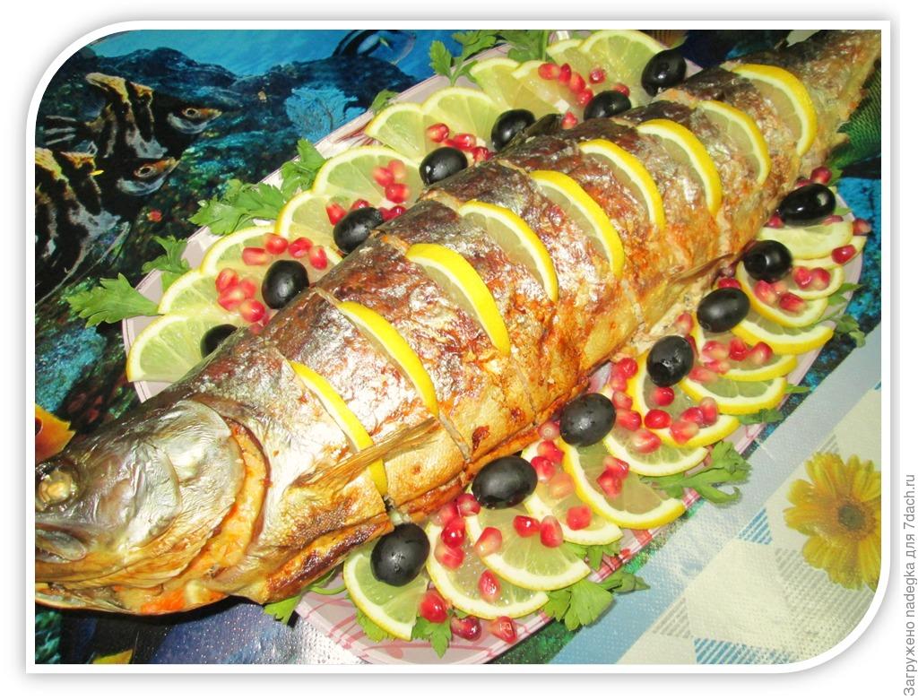 Кунджа рыба - вид, размер, ареал обитания, промысел, полезные свойства, рецепты