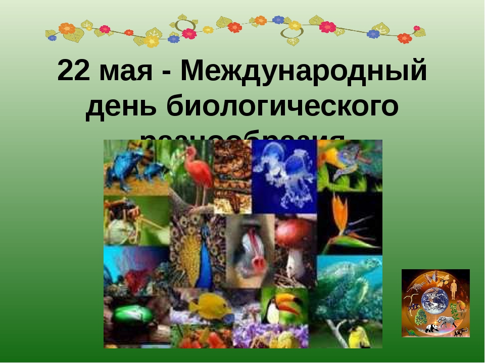 Международный день биологического разнообразия 2022