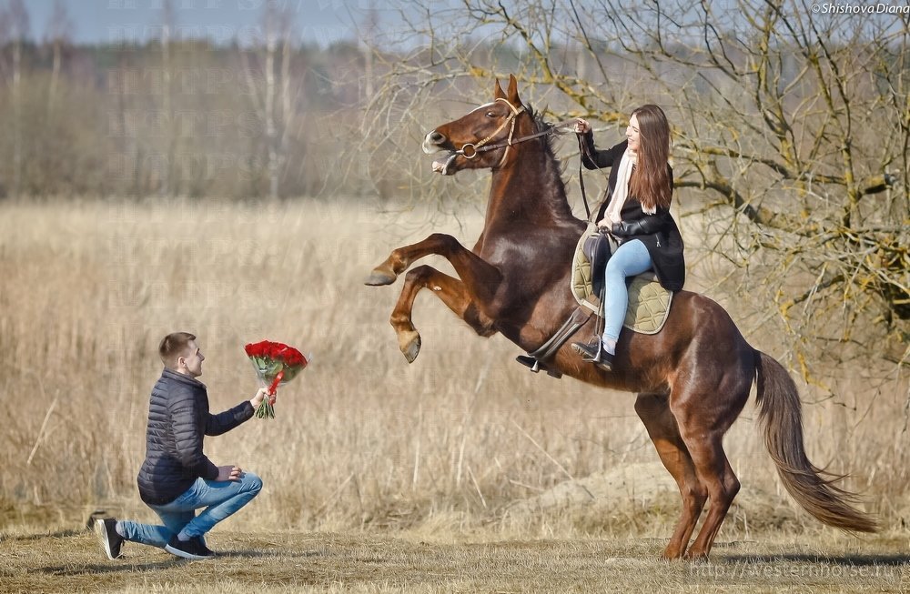Необычные подарки: конная прогулка