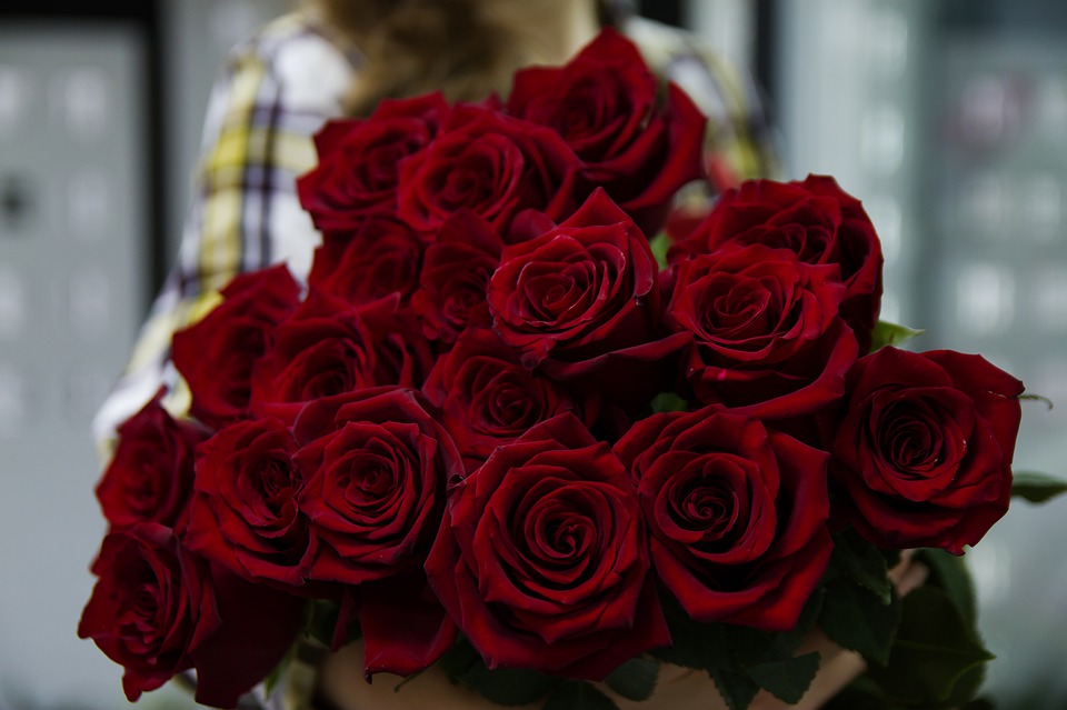Фоторепортаж любимые розы и немного стихов о них