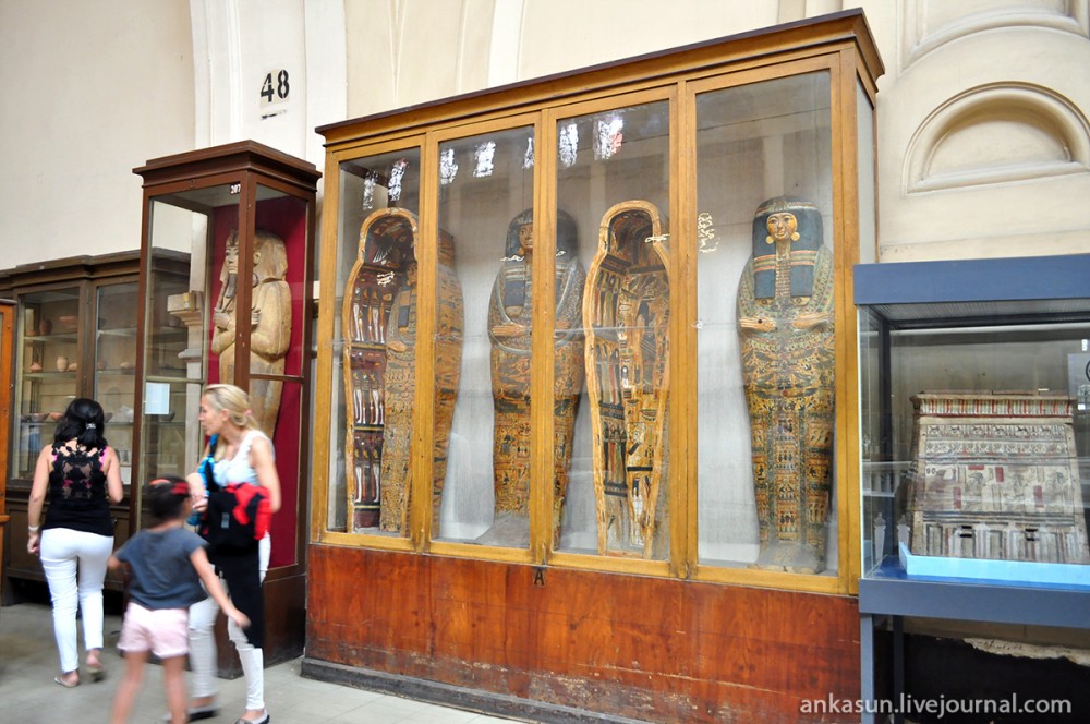Каирский египетский музей — сокровищница древней истории | fiestino.ru