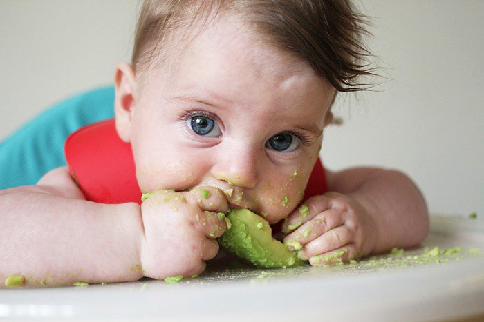 Авокадо в рационе малышей: угроза или польза? с какого возраста можно давать ребенку авокадо