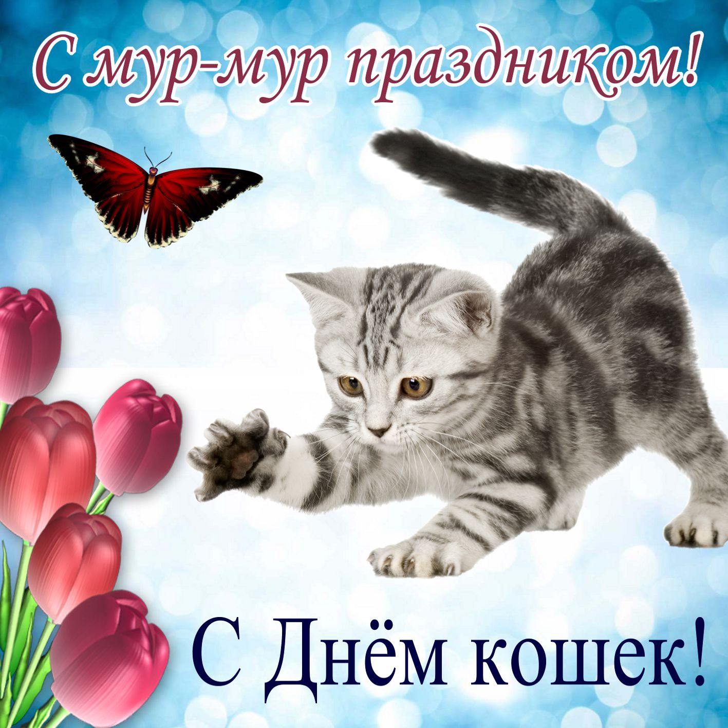 1 марта в россии отмечают всемирный, или международный день кошек и котов, когда этот праздник отмечается в других странах; стихи, картинки и поздравление в день кошек