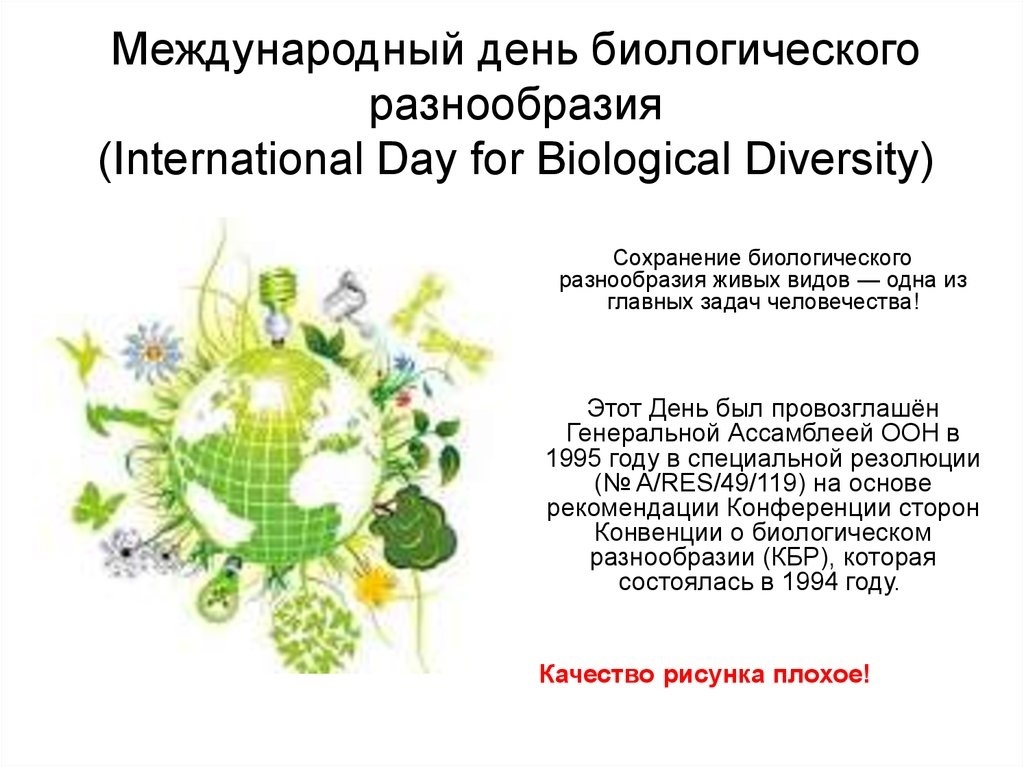 Международный день биологического разнообразия в 2022 году: какого числа, дата и история праздника
