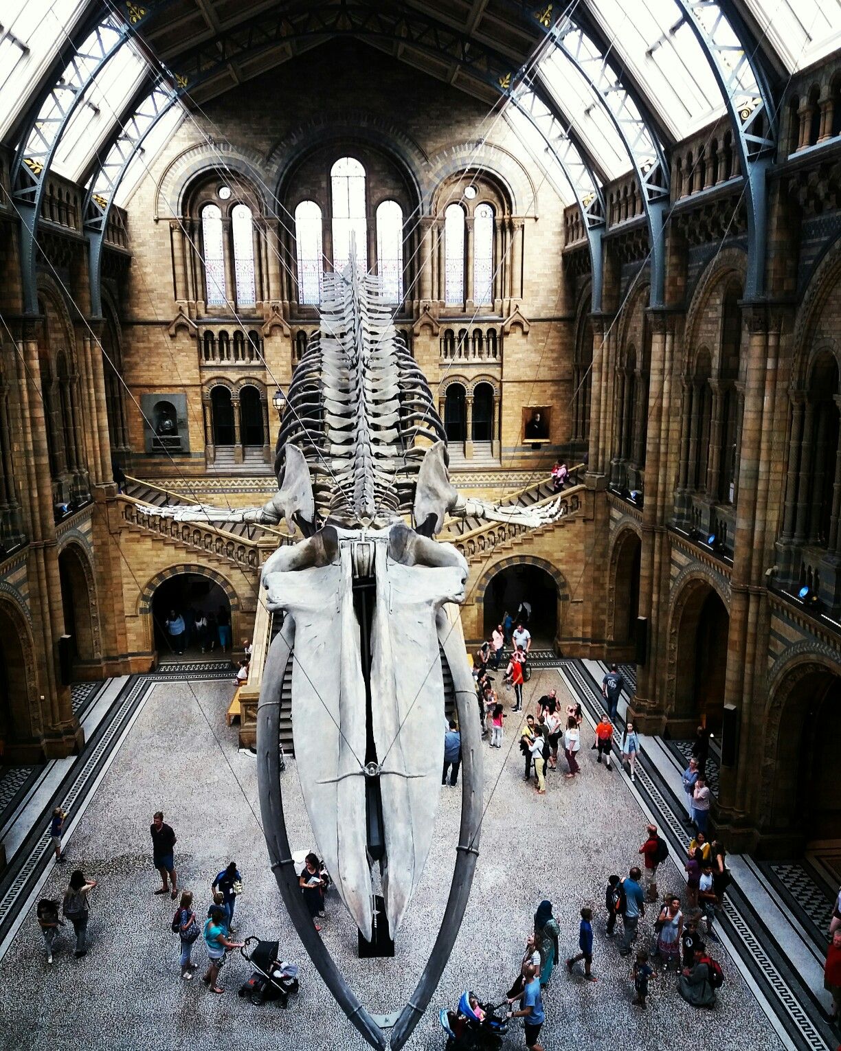 Музей естествознания (natural history museum) в лондоне