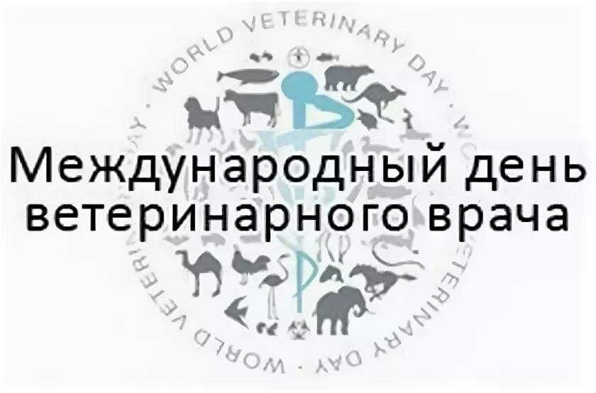 День ветеринара: какого числа отмечают в 2022году и идеи для празднования