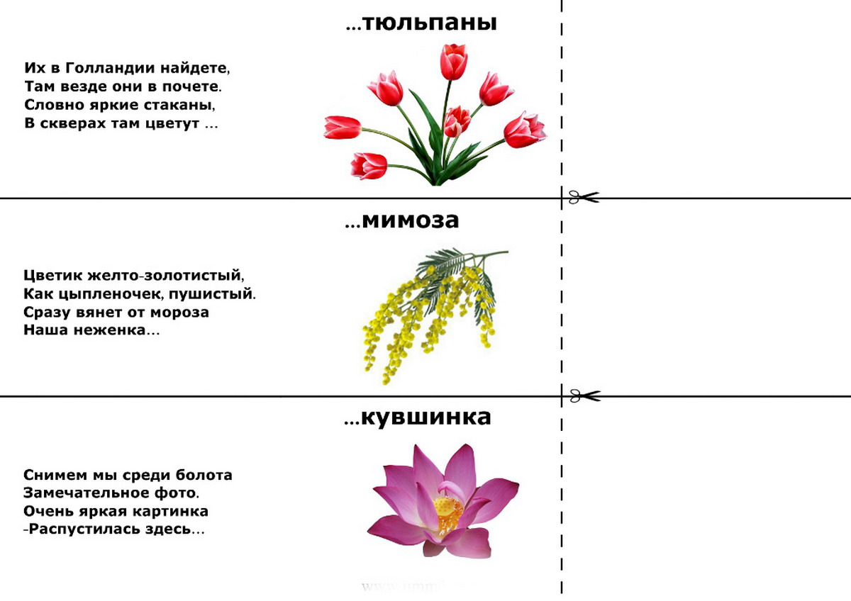 Загадки про цветок для квеста