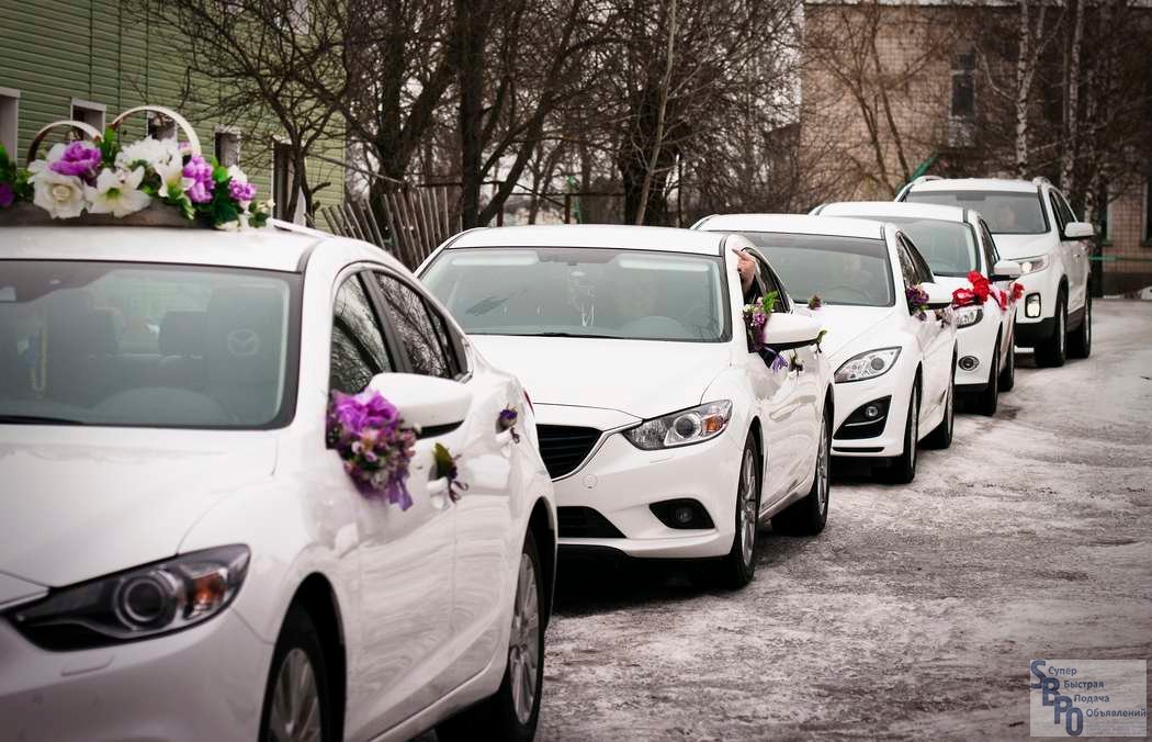 Машины гостей на свадьбе: как выбрать и украсить авто, лимузин, автобус или минивен, как правильно взять транспорт для перевозки в аренду, идеи декор (фото)