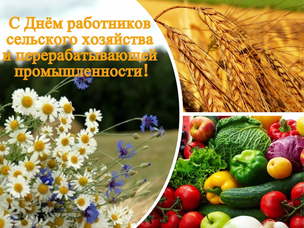 День работника сельского хозяйства отметят в беларуси 17 ноября 2019 года