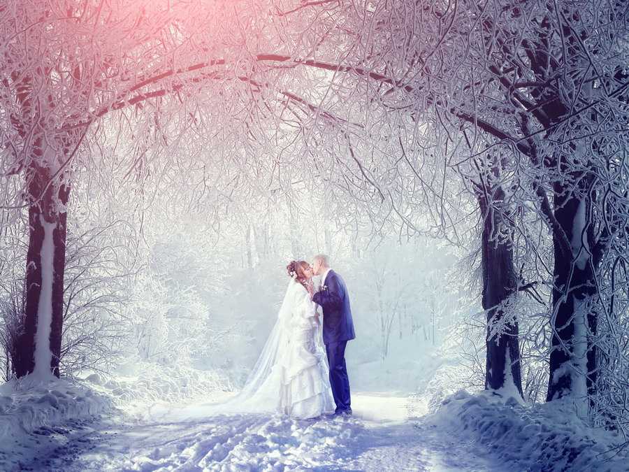 Свадьба зимой (фото): идеи, отзывы.