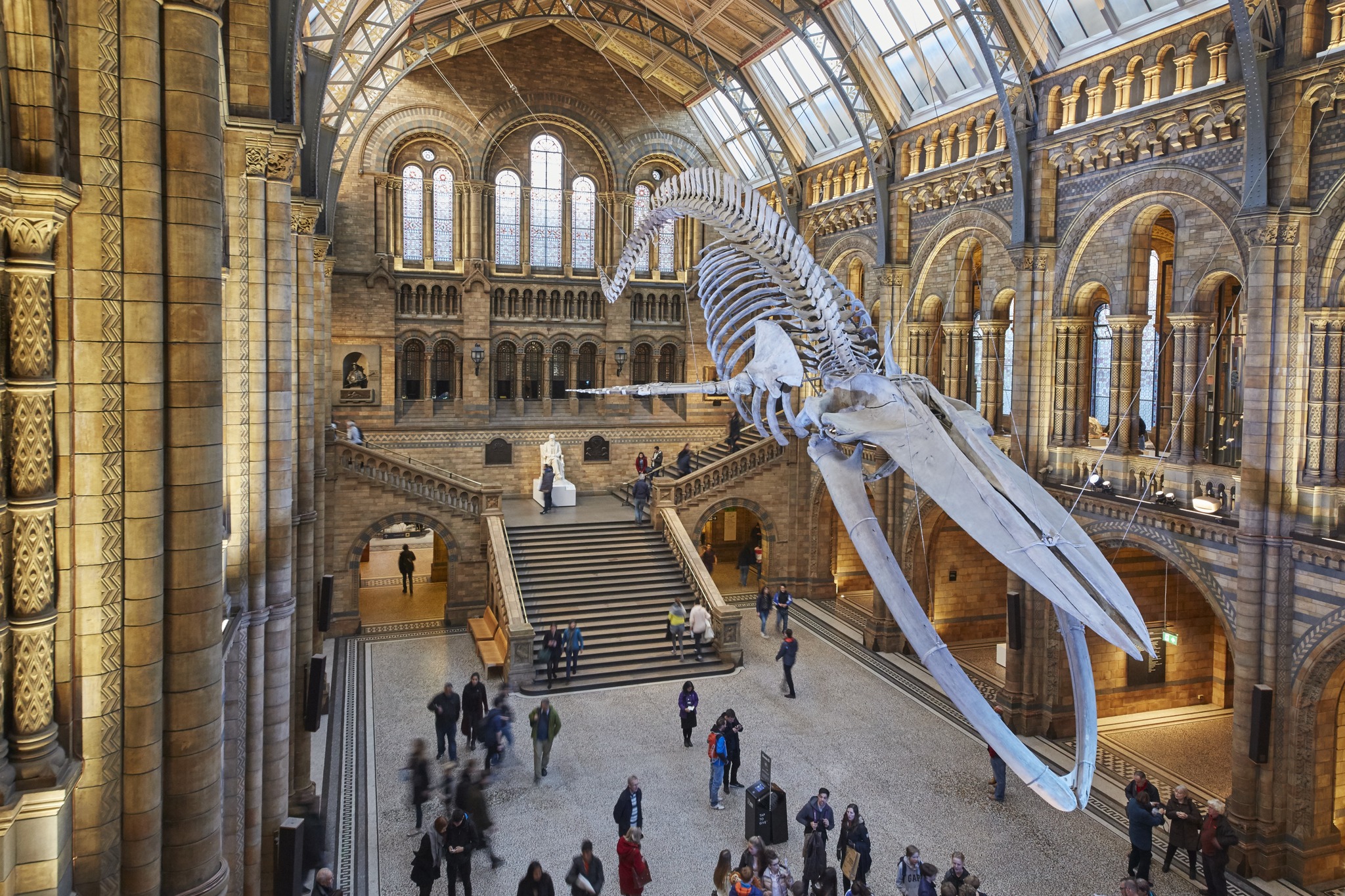 Музей естественной истории, лондон - natural history museum, london - abcdef.wiki