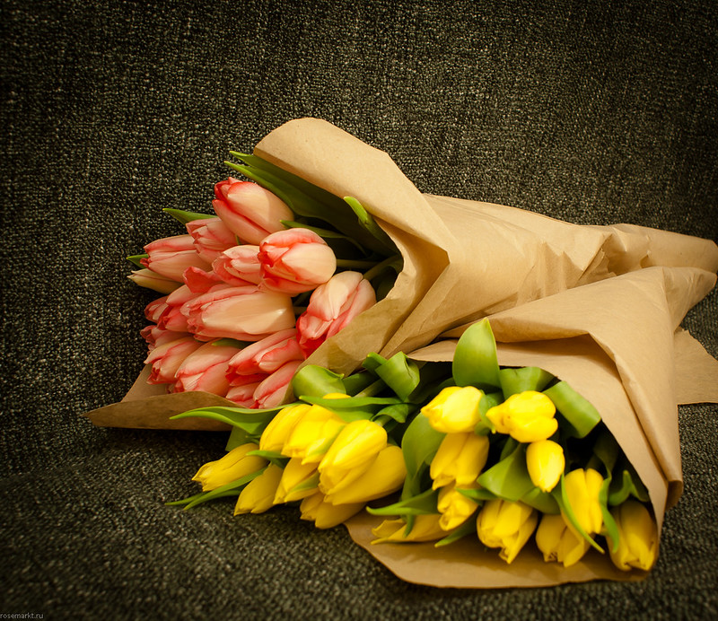 Цветок тюльпан: описание, характеристика растения для детей, фото. сколько лепестков у тюльпана: количество. какие у тюльпана лепестки, какой стебель: цвет, форма. тюльпан обыкновенный — родина растения