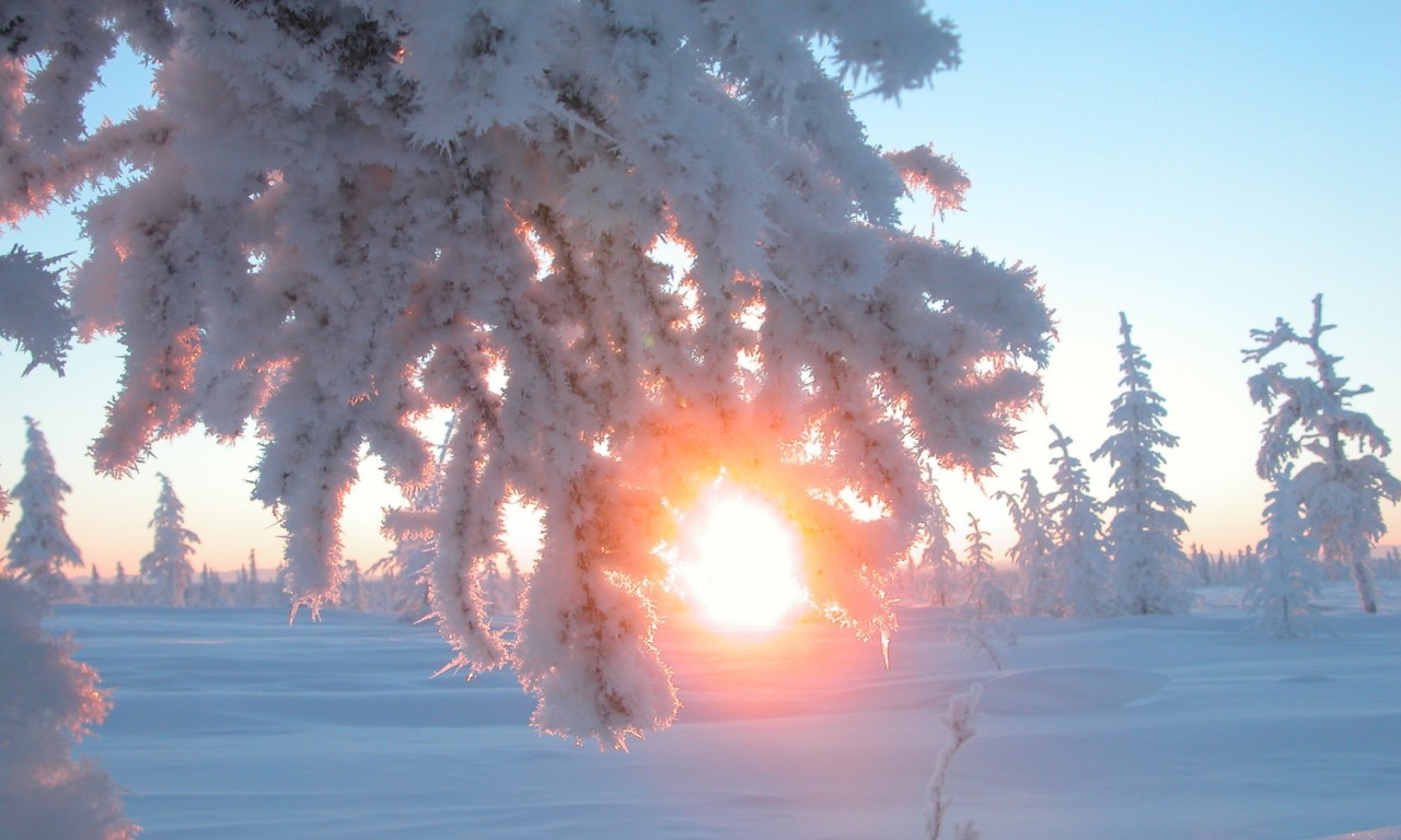 День зимнего солнцестояния в 2021 году - ритуалы и практики