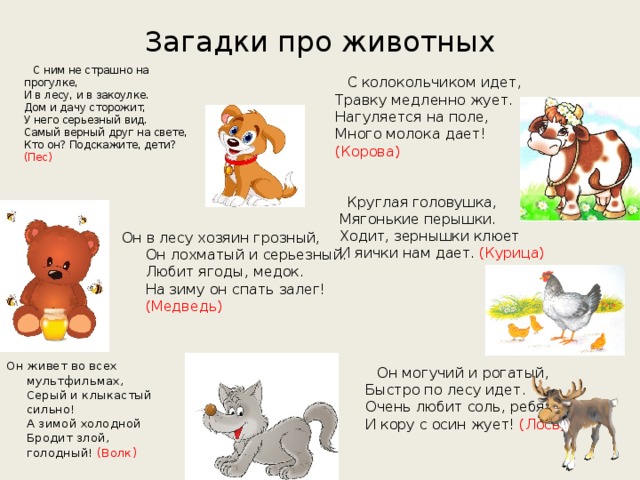 Загадки про домашних животных для детей ???? - детям и родителям