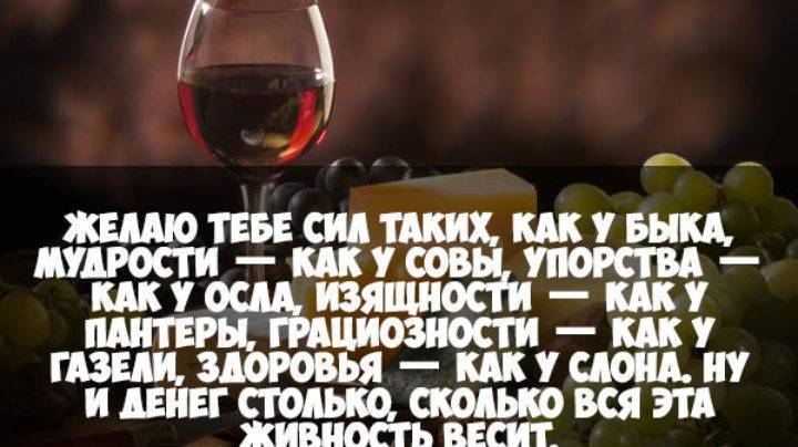 Поздравления с днем рождения мужчине тосты прикольные | pzdb.ru - поздравления на все случаи жизни