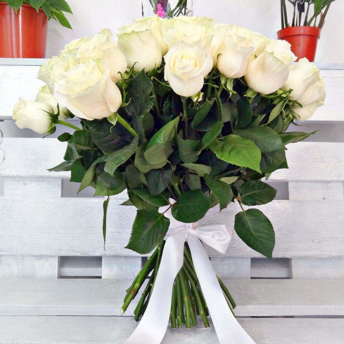 К чему дарят белые розы. что символизируют белые розы