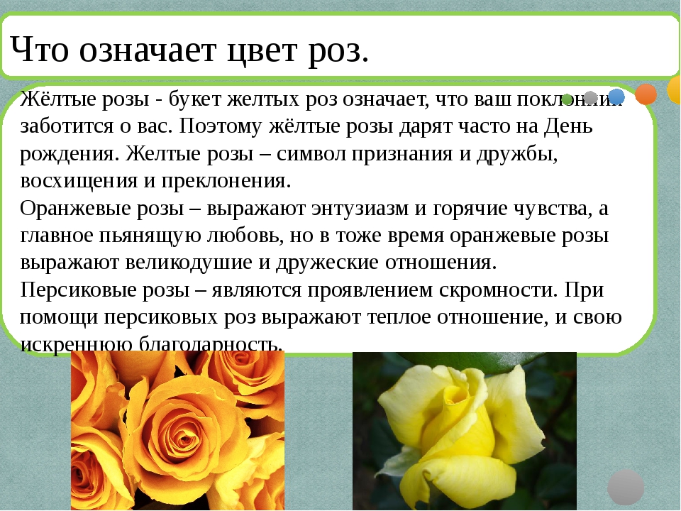 Цвета роз: значение и символика. когда и кому дарить белые, красные, желтые розы - sadovnikam.ru