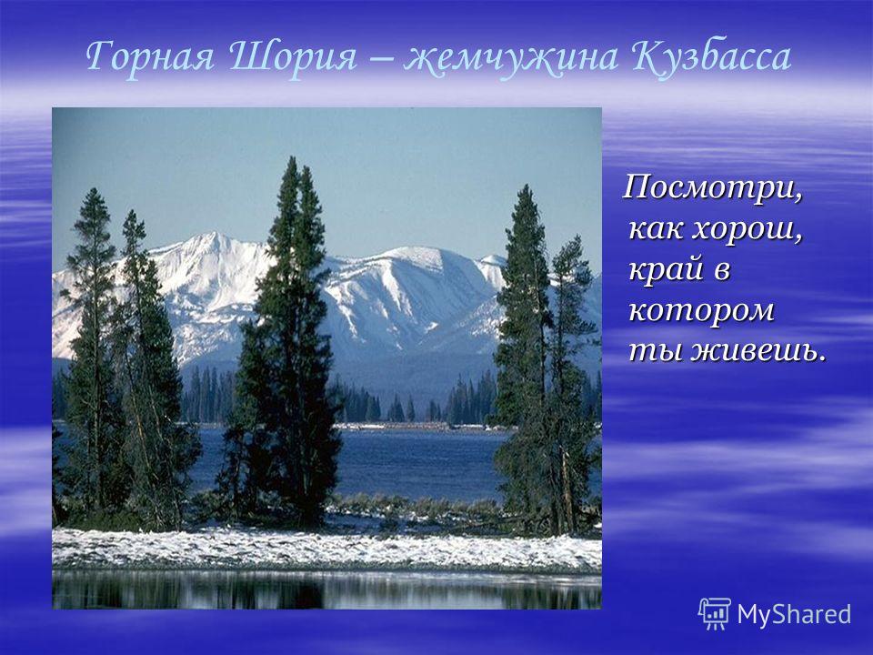 Природа кузбасса презентация