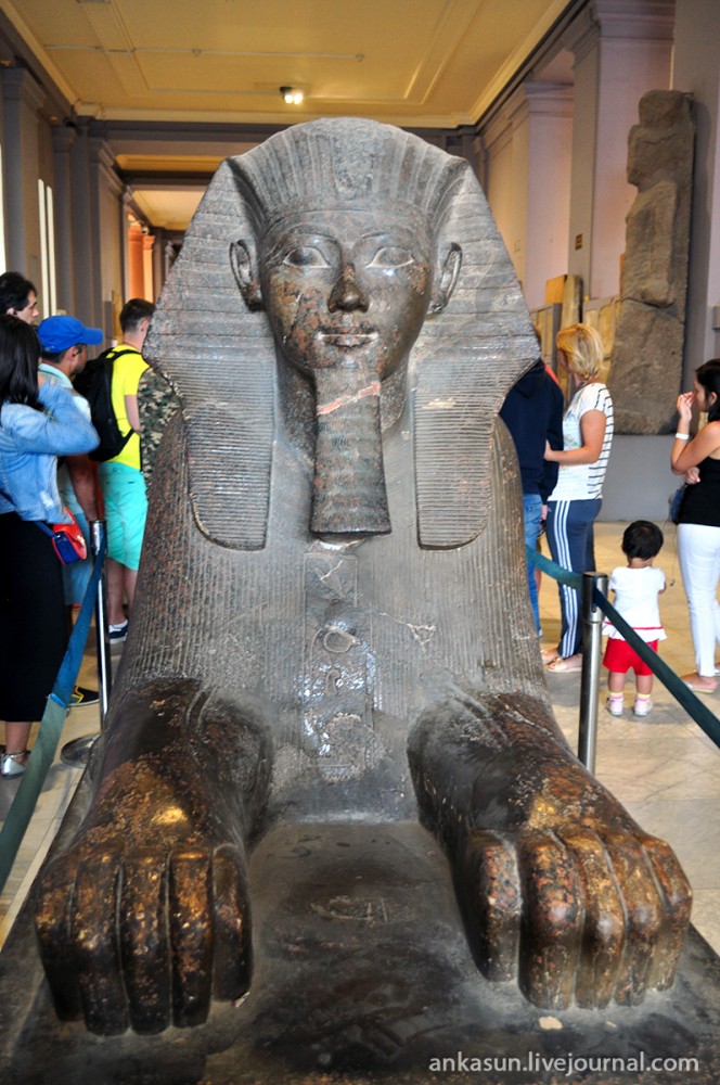 Египетский музейсодержание а также история [ править ]