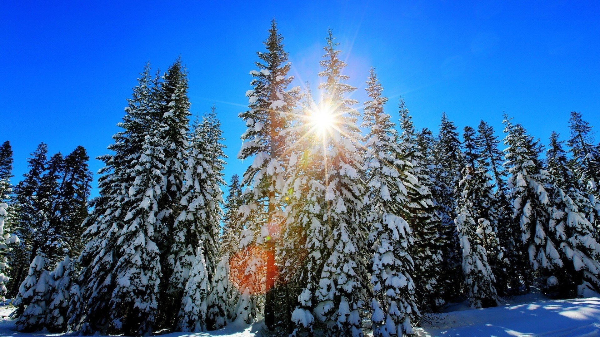 День зимнего солнцестояния: факты, традиции, как провести с пользой