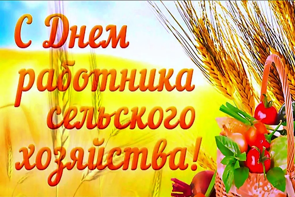 От дожинок к государственному празднику. день работника сельского хозяйства отметят в беларуси 17 ноября