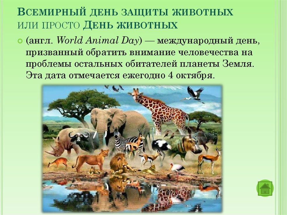 Всемирный день защиты животных: как отмечается праздник в рф?