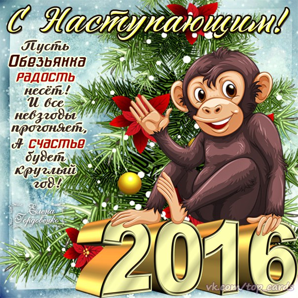 Китайский новый год огненной обезьяны: чего ожидать, как праздновать