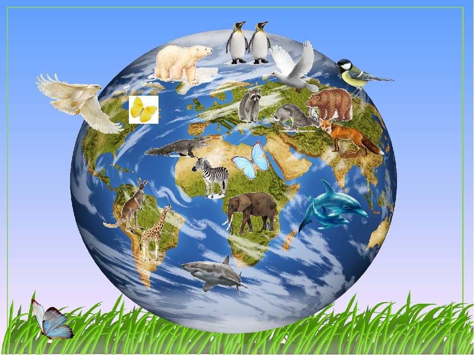 Международный день биологического разнообразия - international day for biological diversity