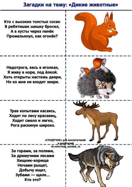 Загадки про животных