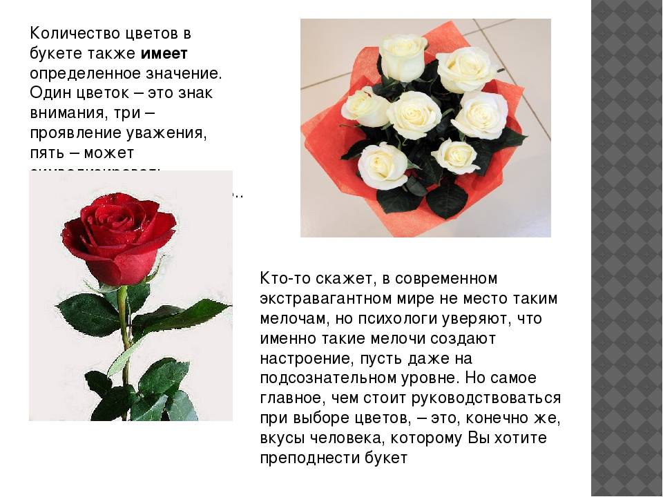 Кто сказал, что красные розы символизируют страсть?