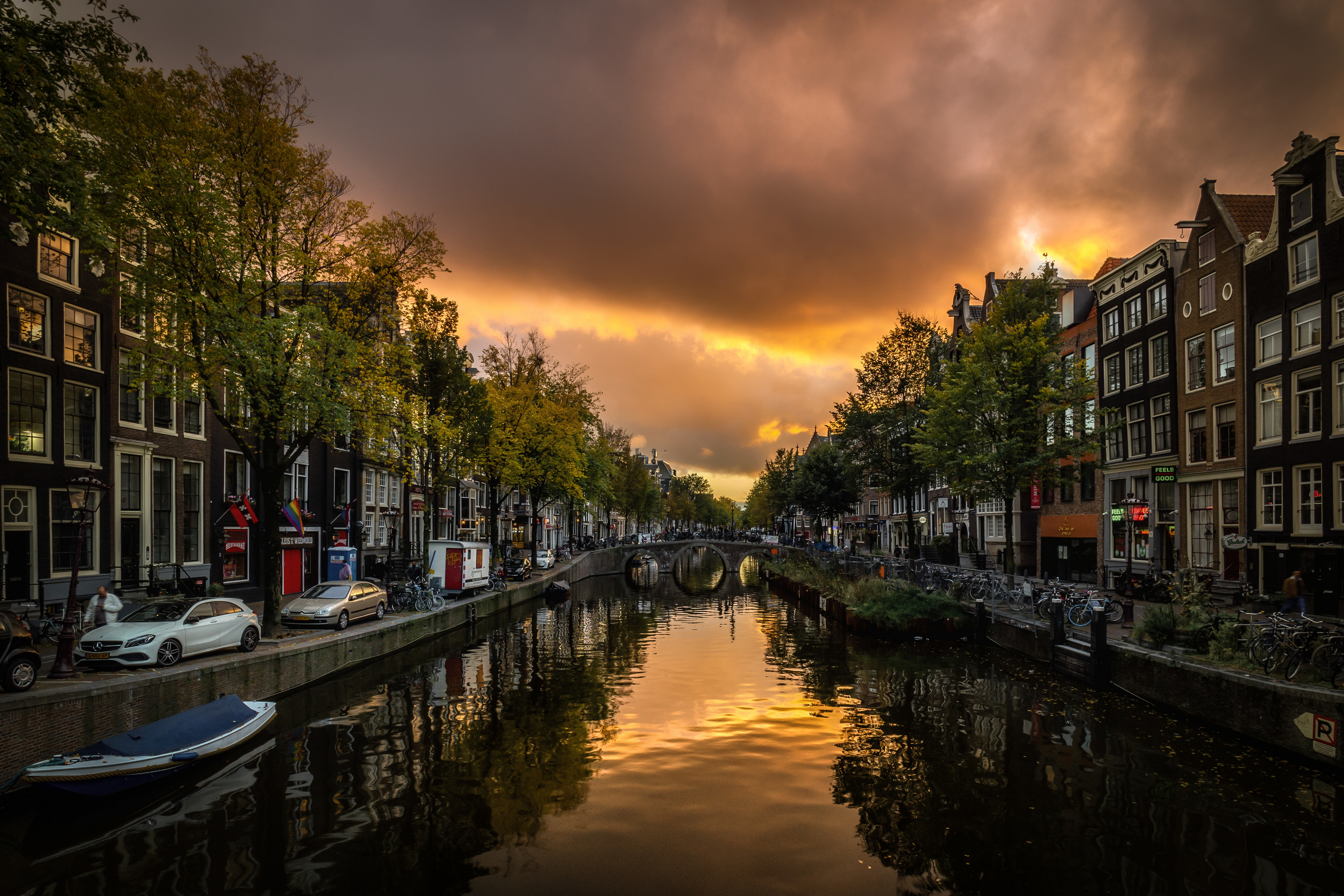 36 достопримечательностей амстердама, которые стоит посмотреть