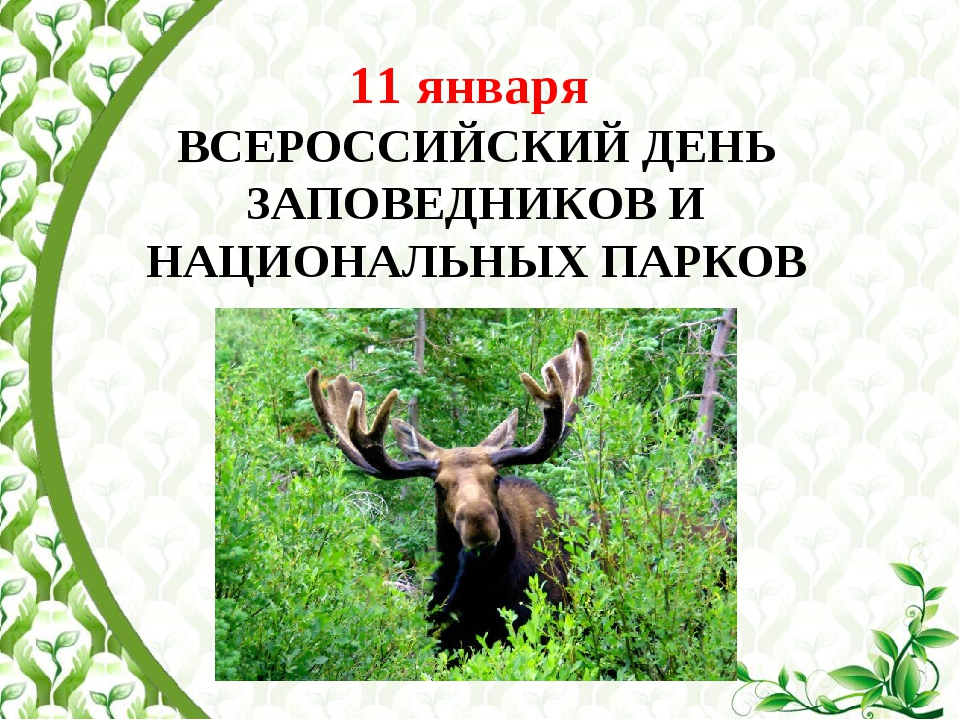 День заповедников и национальных парков в 2021: дата, всероссийский, в библиотеке